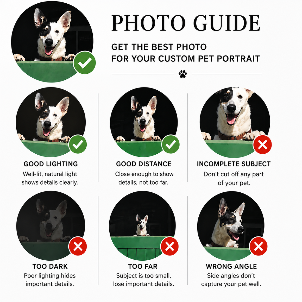 a photo guide for customers to upload quality photos for their pet portrait.